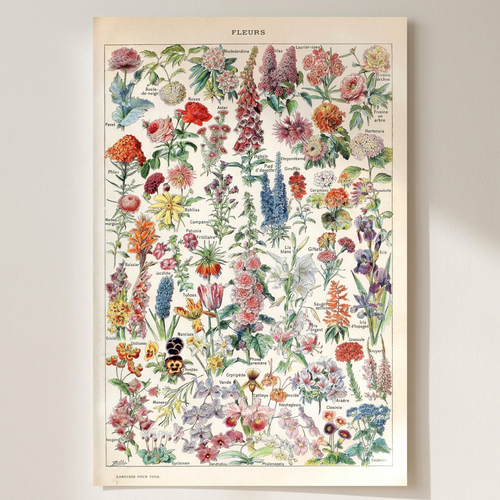 Adolphe Millot Fleurs Pour Tous French Poster shown cleanly on a wall
