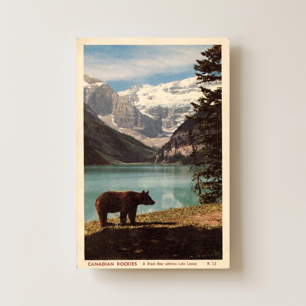 Vintage National Park Poster shown cleanly on a wall